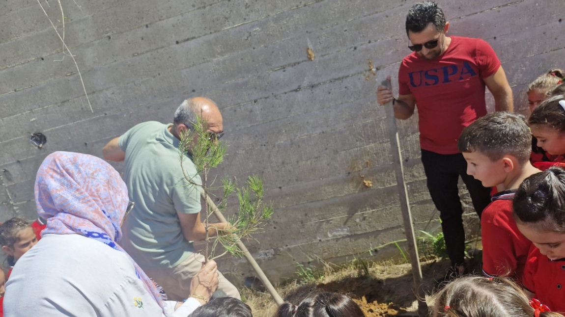 Her Çocuk Bir Fidan, İlk Ders Yeşil Vatan